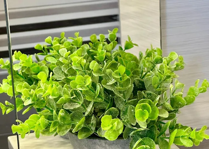 Odmor - Krajina Ii 弗拉西克